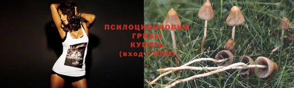 молекула духа Красноперекопск