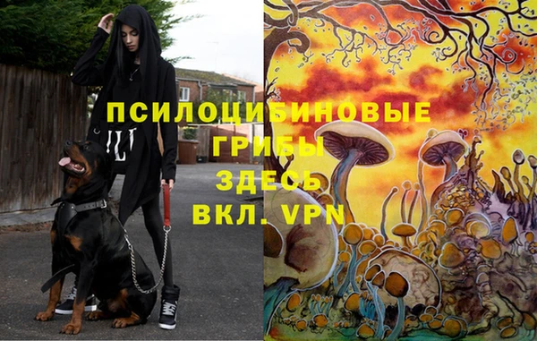 молекула духа Красноперекопск