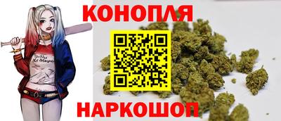 прущие крисы Краснознаменск