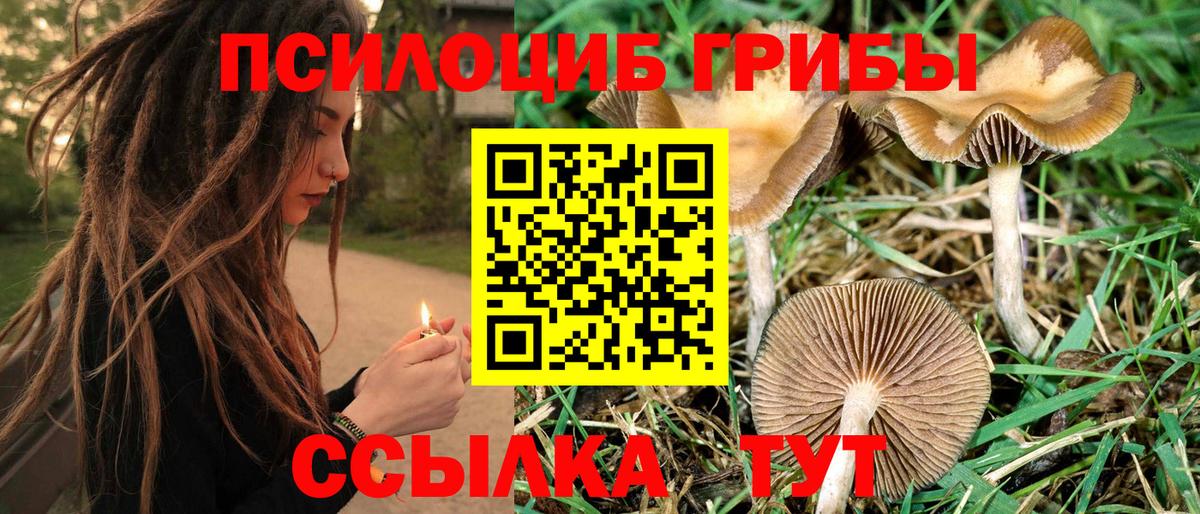 Галлюциногенные грибы GOLDEN TEACHER  Учалы 