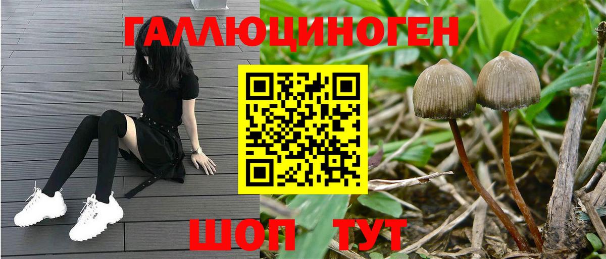 Галлюциногенные грибы мицелий Учалы