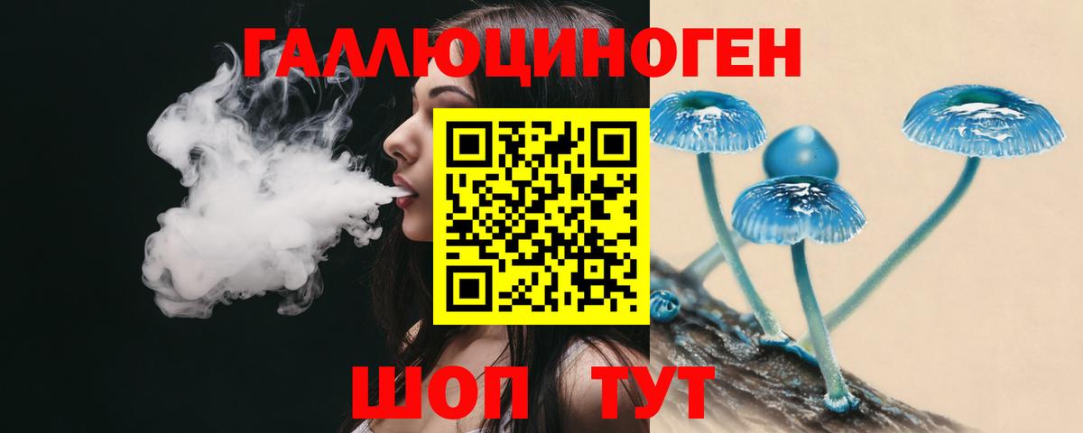 Галлюциногенные грибы Psilocybe  Вход с VPN  Учалы 